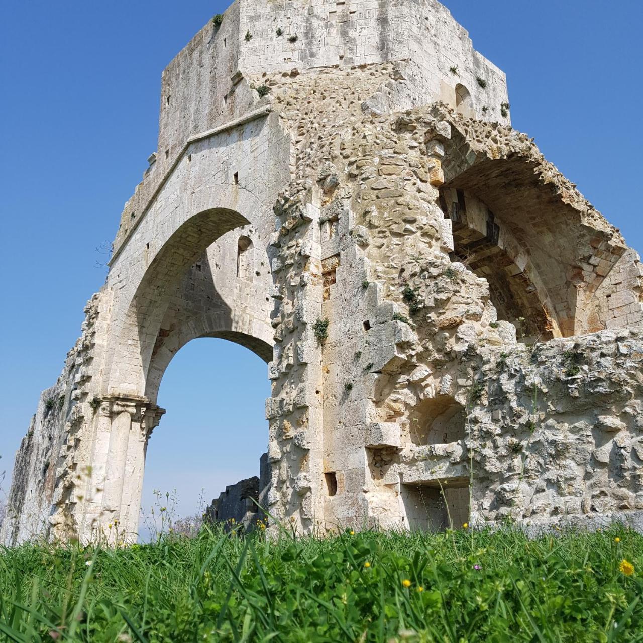 Agriturismo Poderedodici オルベテッロ エクステリア 写真